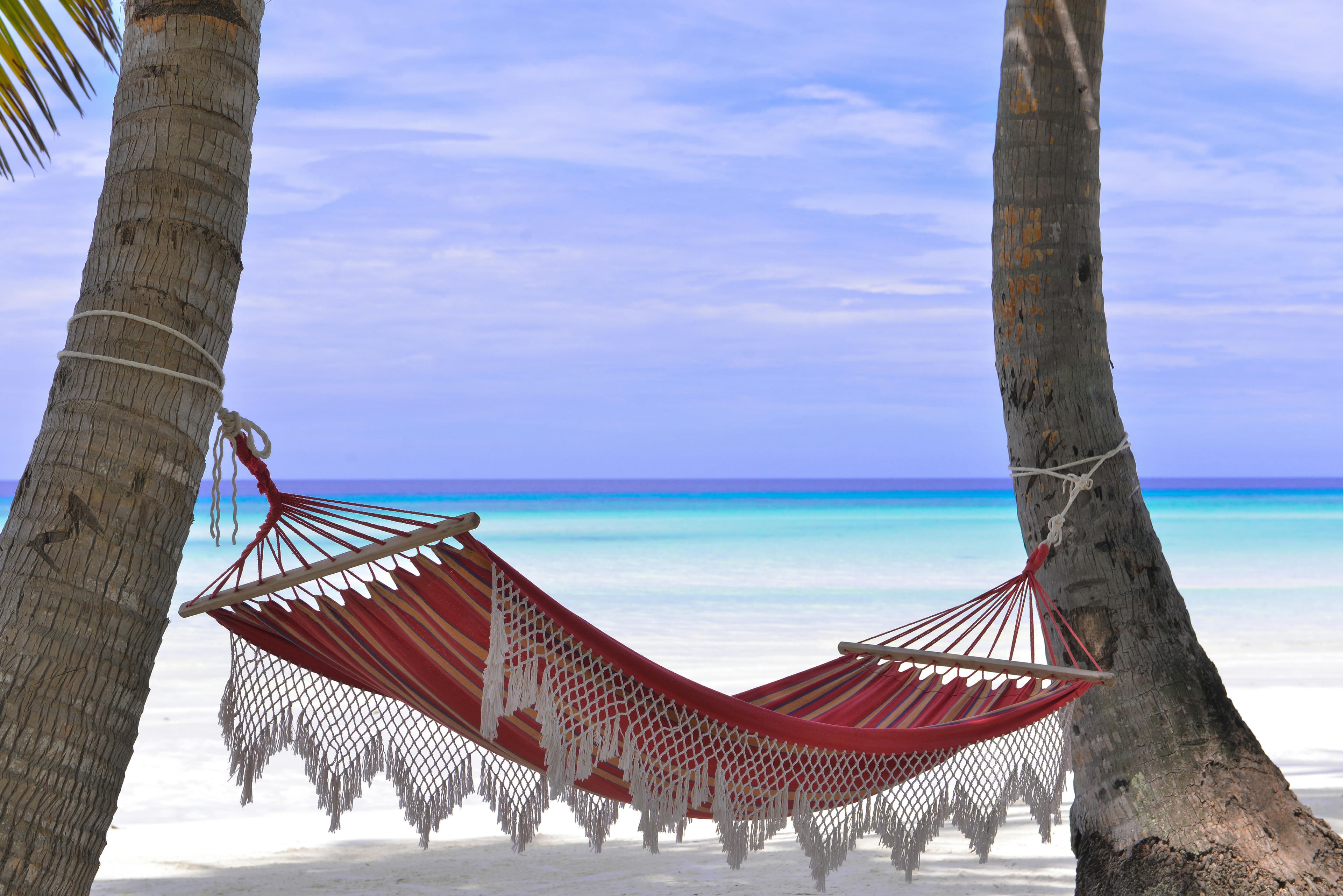 When is the Best Month to Go on a Cruise?